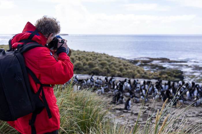 Penguin Lifestyle Photography Excursion ©Poseidon Expeditions, Piet Van Den Bemd.jpg